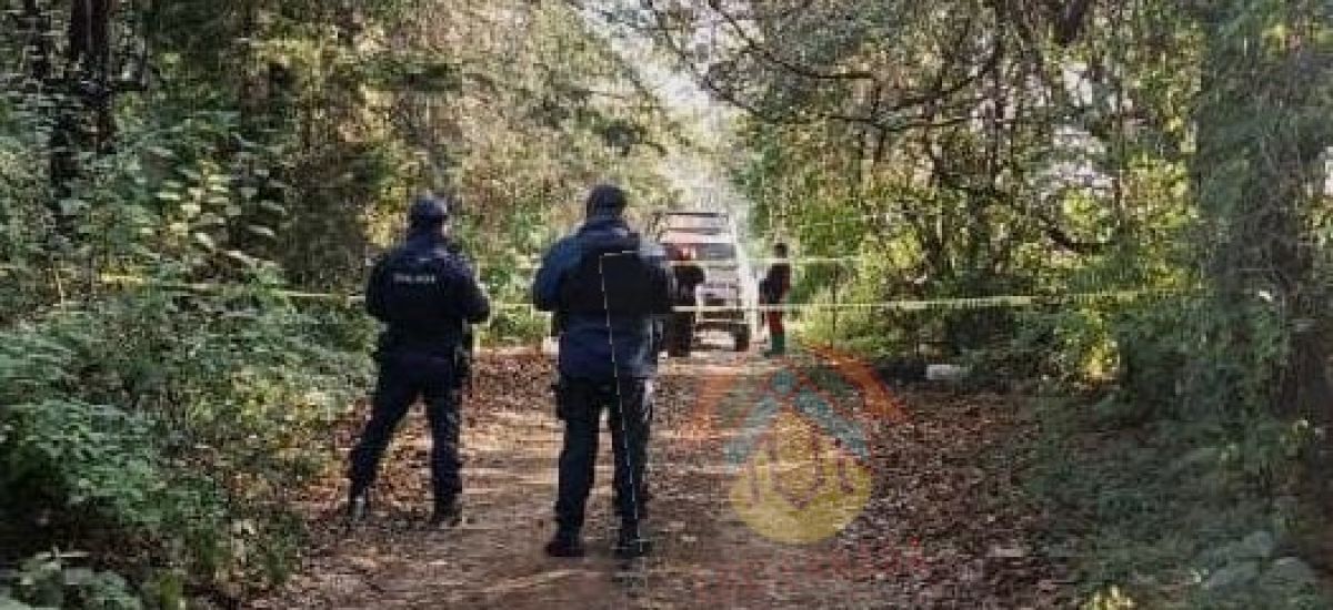 Luciernaga noticias | Hallan s!n v!da a mu...