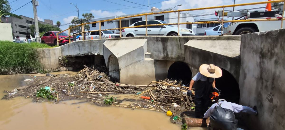 Luciernaga noticias | Realiza Sindicato de...