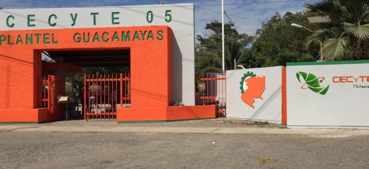 Luciernaga noticias | Cecytem suspende act...