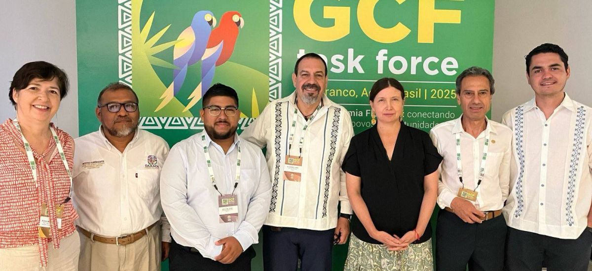 Luciernaga noticias | Por Guardián Foresta...