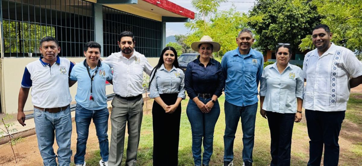 Luciernaga noticias | Refrenda Aralia Sauc...