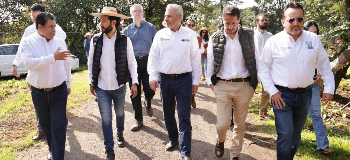 Luciernaga noticias | Michoacán reafirma s...