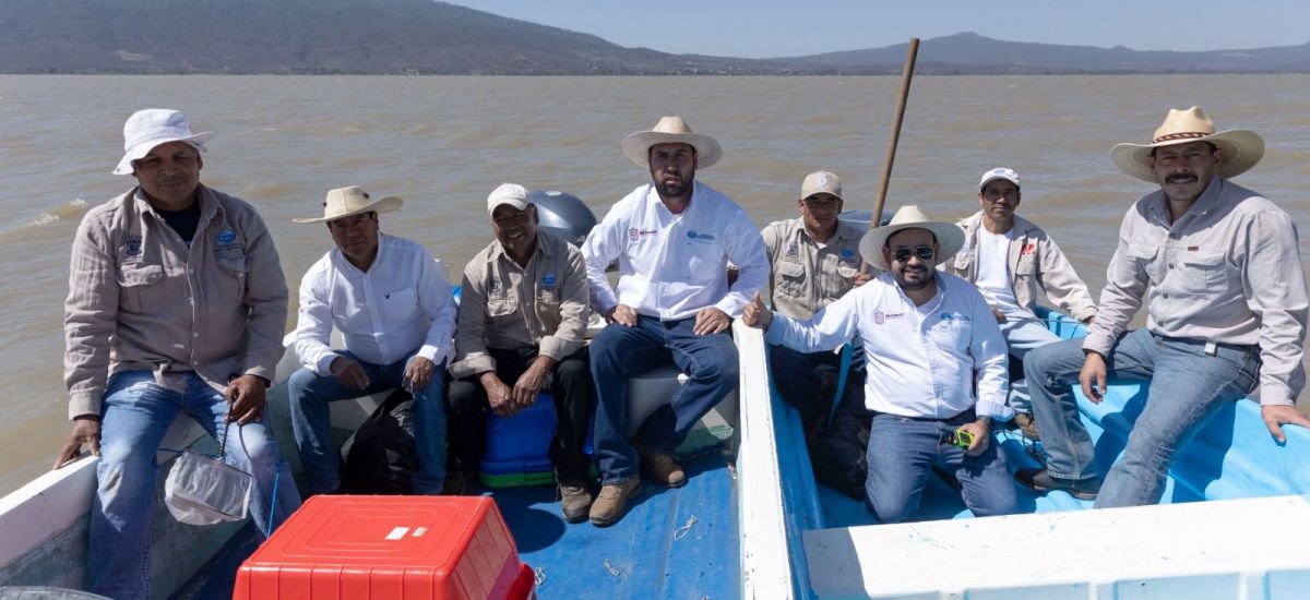 Luciernaga noticias | Michoacán busca semb...