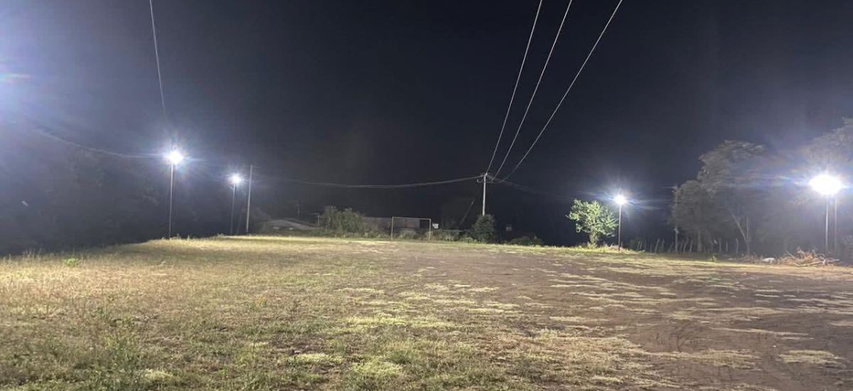 Luciernaga noticias | Luminarias transform...