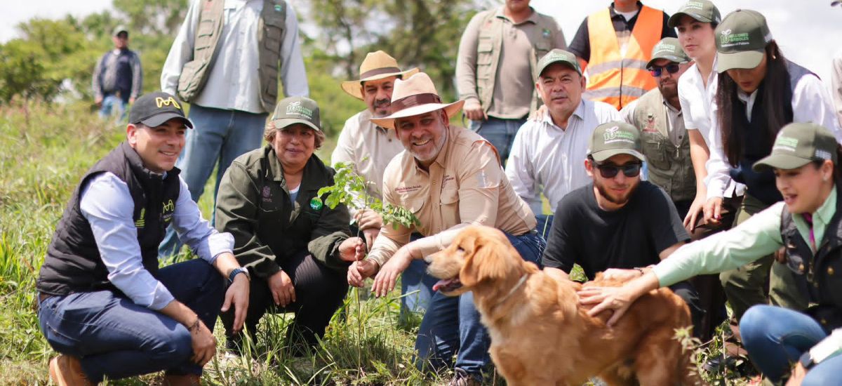 Luciernaga noticias | Michoacán va por réc...
