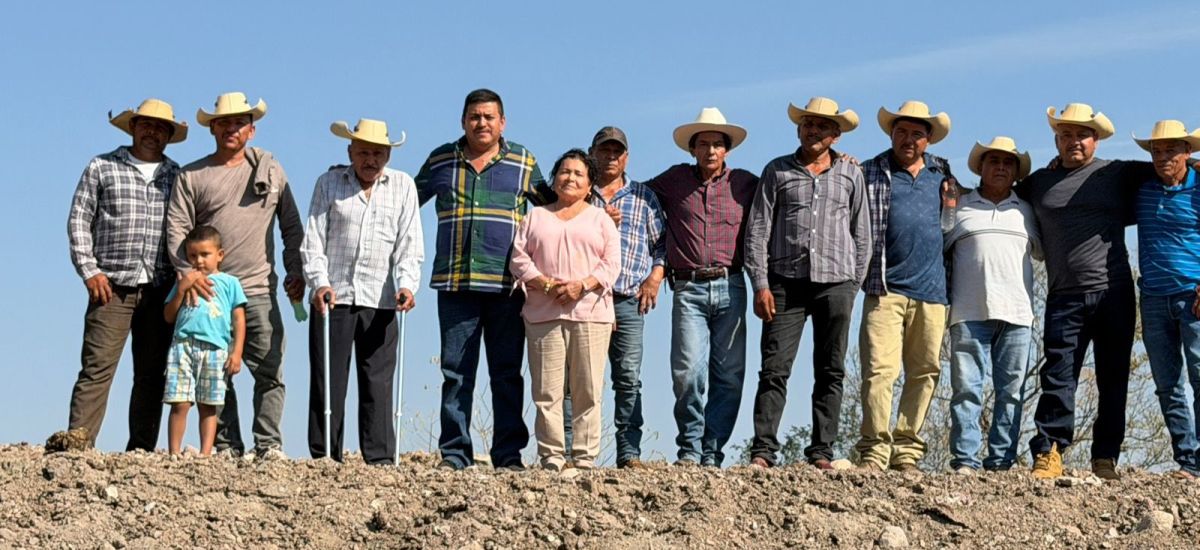 Luciernaga noticias | Jaime Torres García...