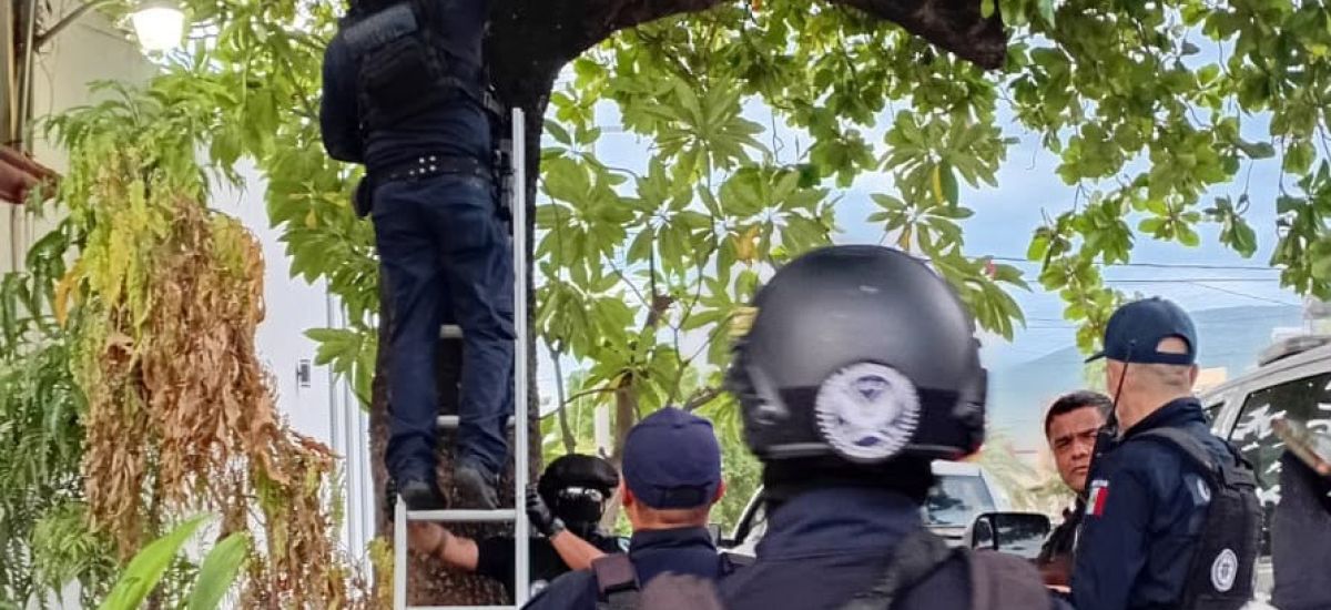Luciernaga noticias | SSP y federales reti...