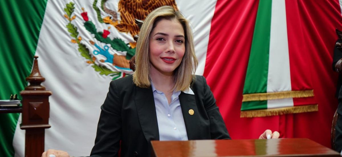 Luciernaga noticias | Diputada Brissa Arro...