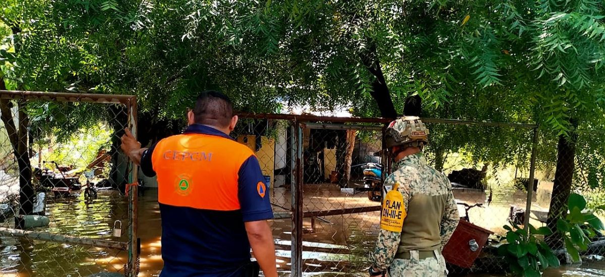 Luciernaga noticias | Crónica  El desborda...