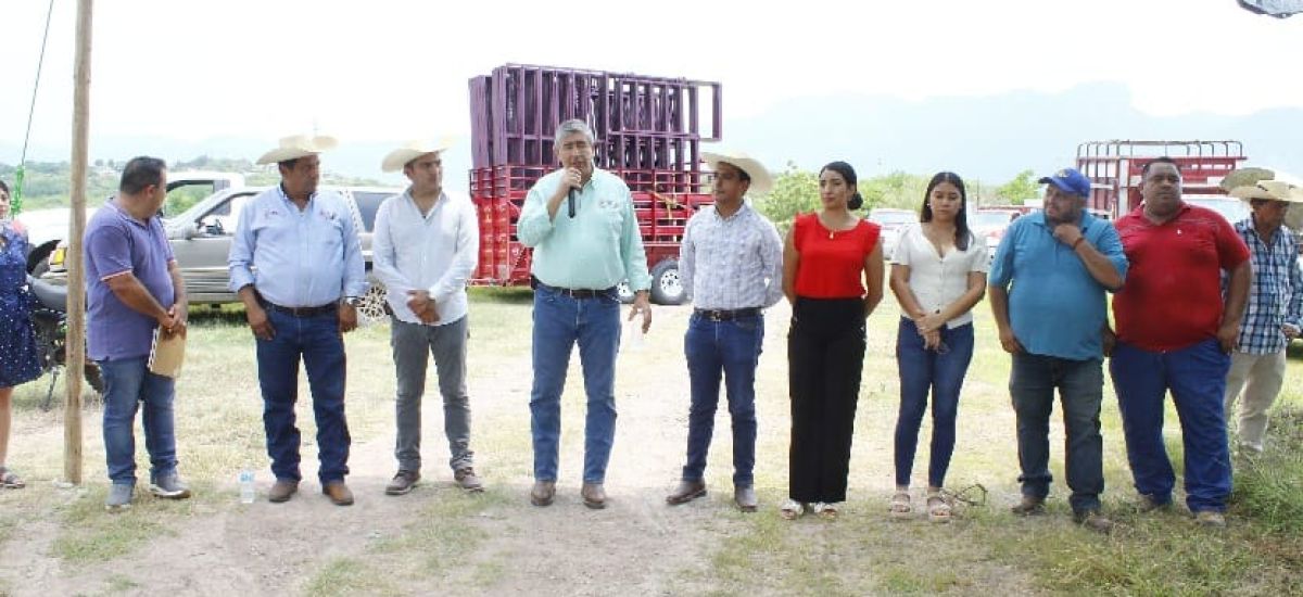 Luciernaga noticias | Con programa de subs...