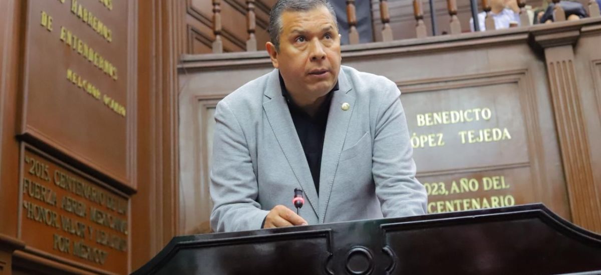 Luciernaga noticias | Barragán propone ref...