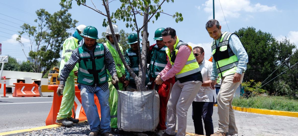 Luciernaga noticias | SCOP realiza reubica...