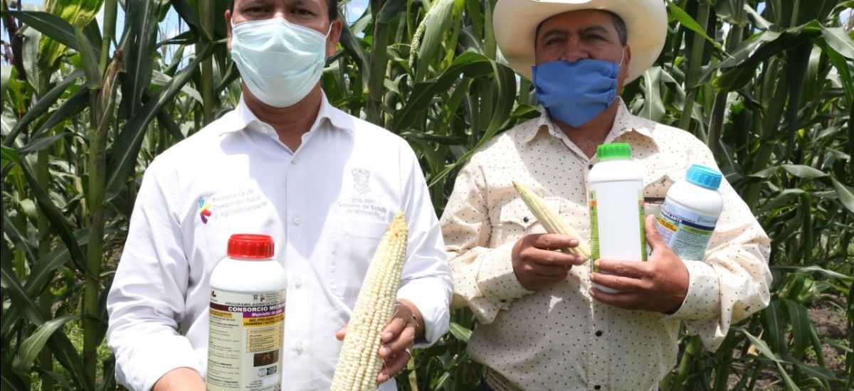 Logró Agricultura Sustentable cosecha de un 135%...