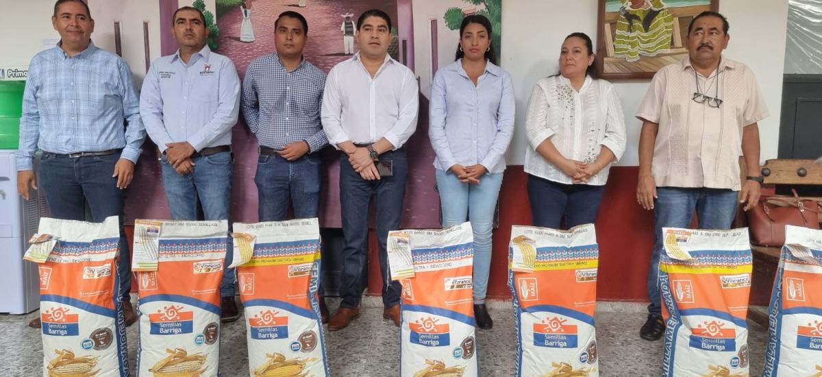 Luciernaga noticias | Productores de Hueta...