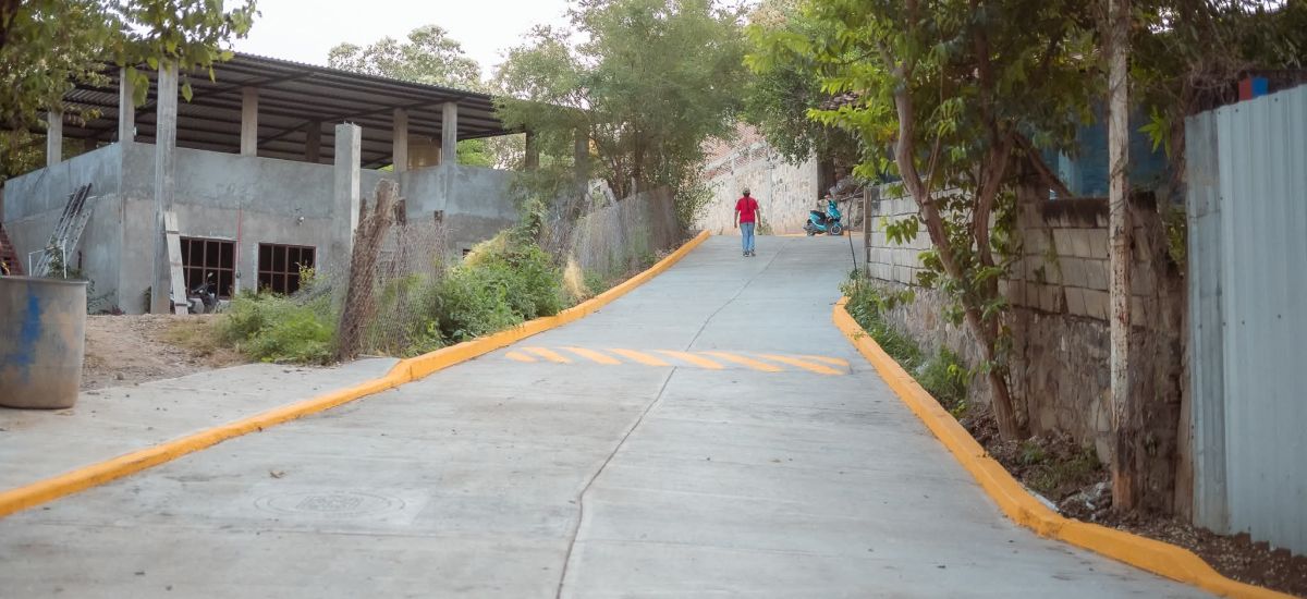 Luciernaga noticias | Más seguridad y movi...