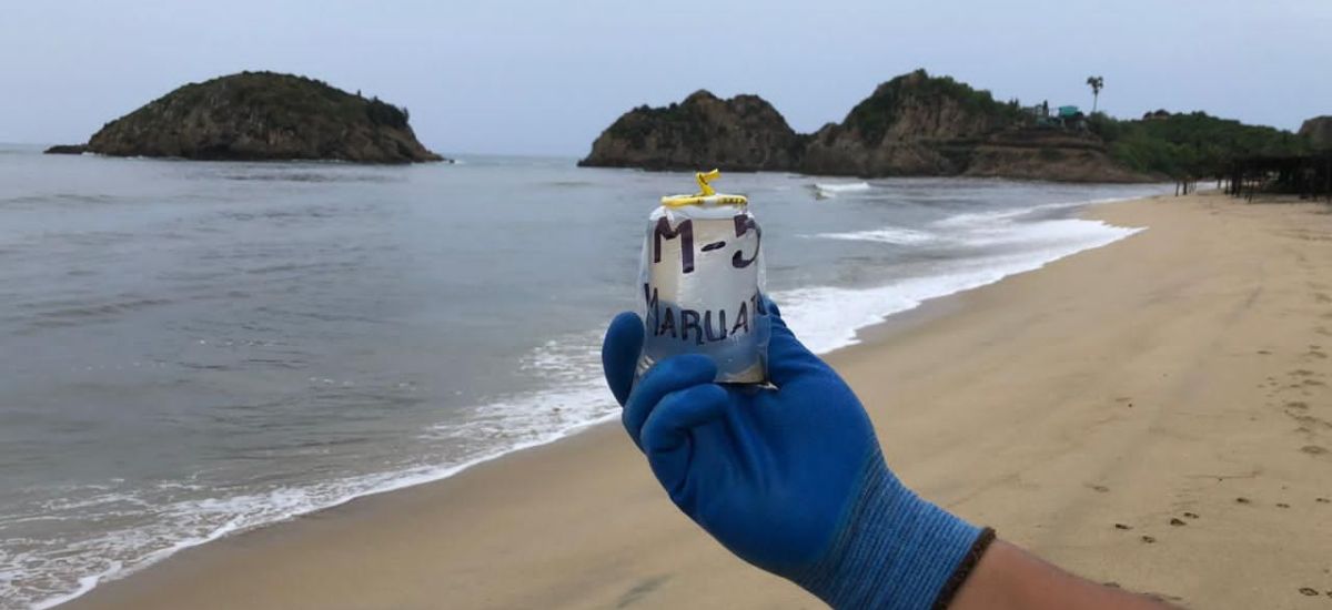 Luciernaga noticias | Vacaciones seguras:...