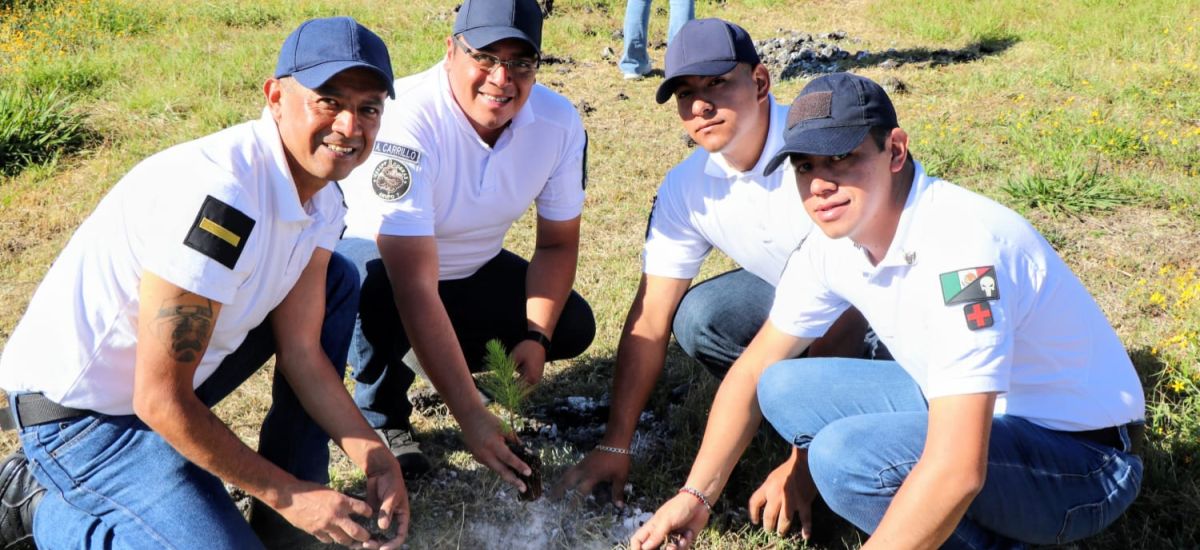 Luciernaga noticias | Instituto de Estudio...