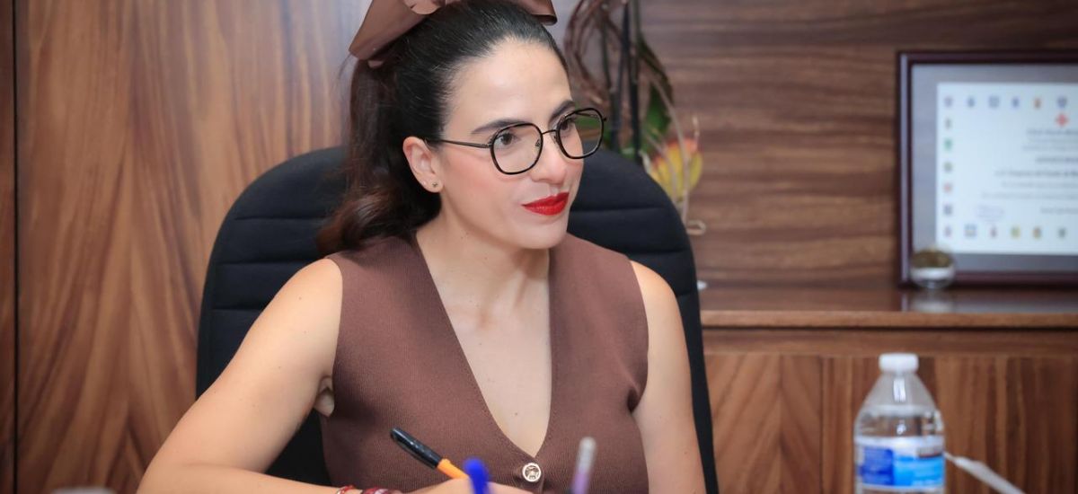 Luciernaga noticias | Congreso local recib...