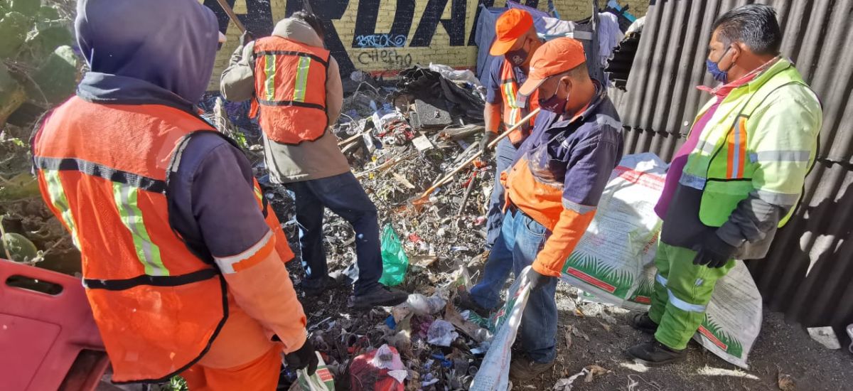 Inicia SLyT limpieza de vivienda con acumulación...