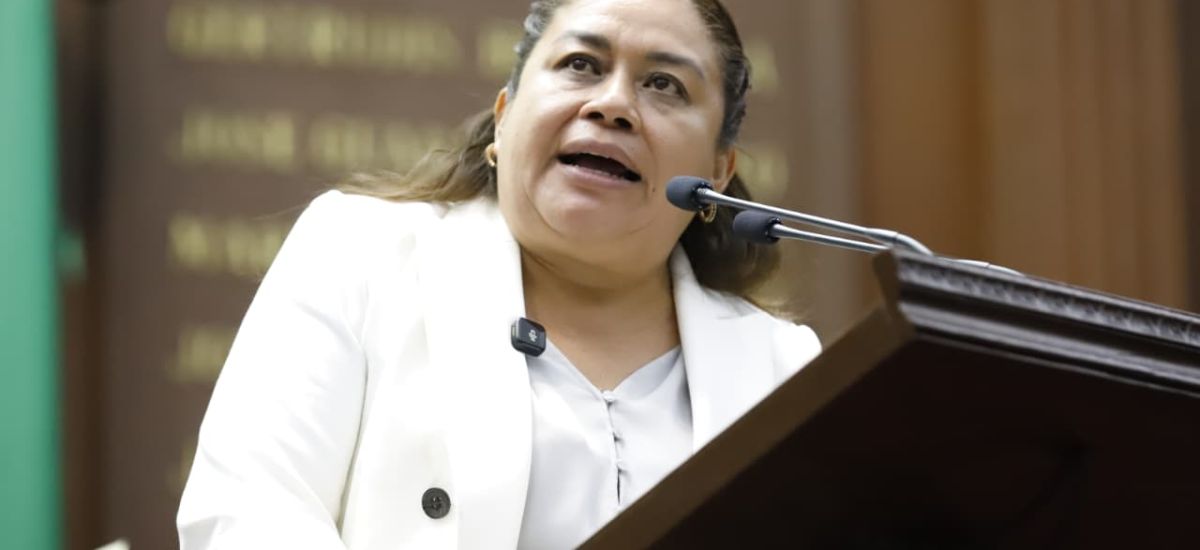 Luciernaga noticias | Reforma Electoral ga...