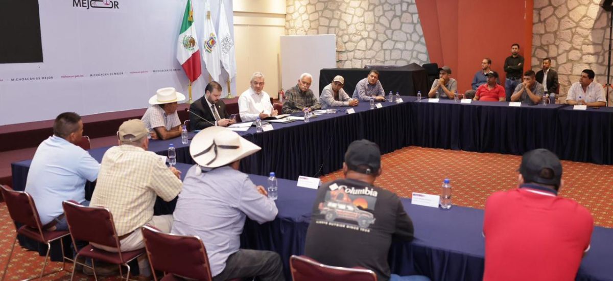 Luciernaga noticias | Arroceros de Michoac...