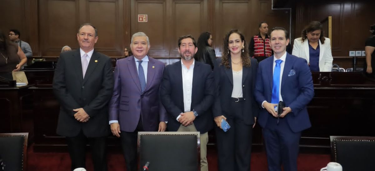 Luciernaga noticias | El Verde refrenda co...