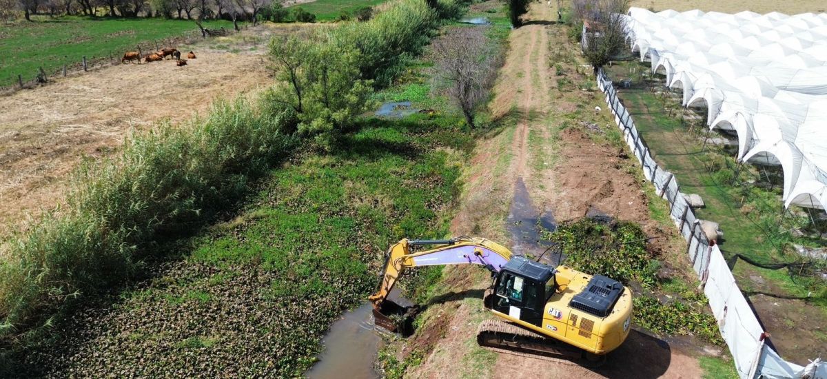 Luciernaga noticias | Se retirarán 240 mil...