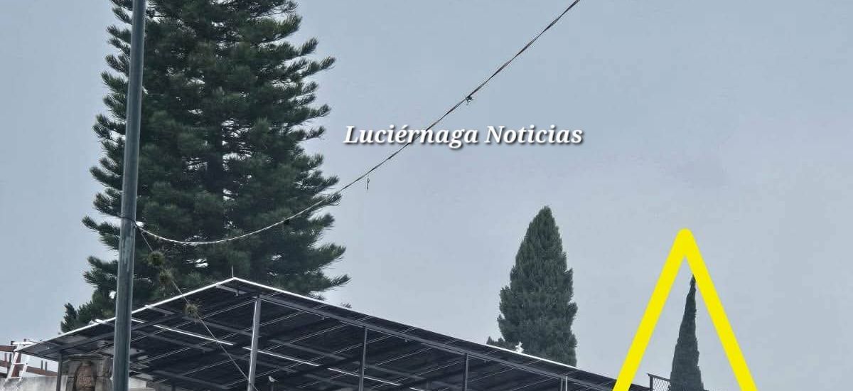 Luciernaga noticias | Rayo incendia árbol...