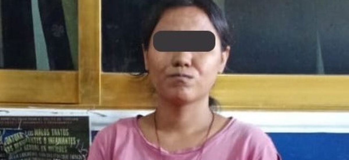 Luciernaga noticias | Policía Municipal br...