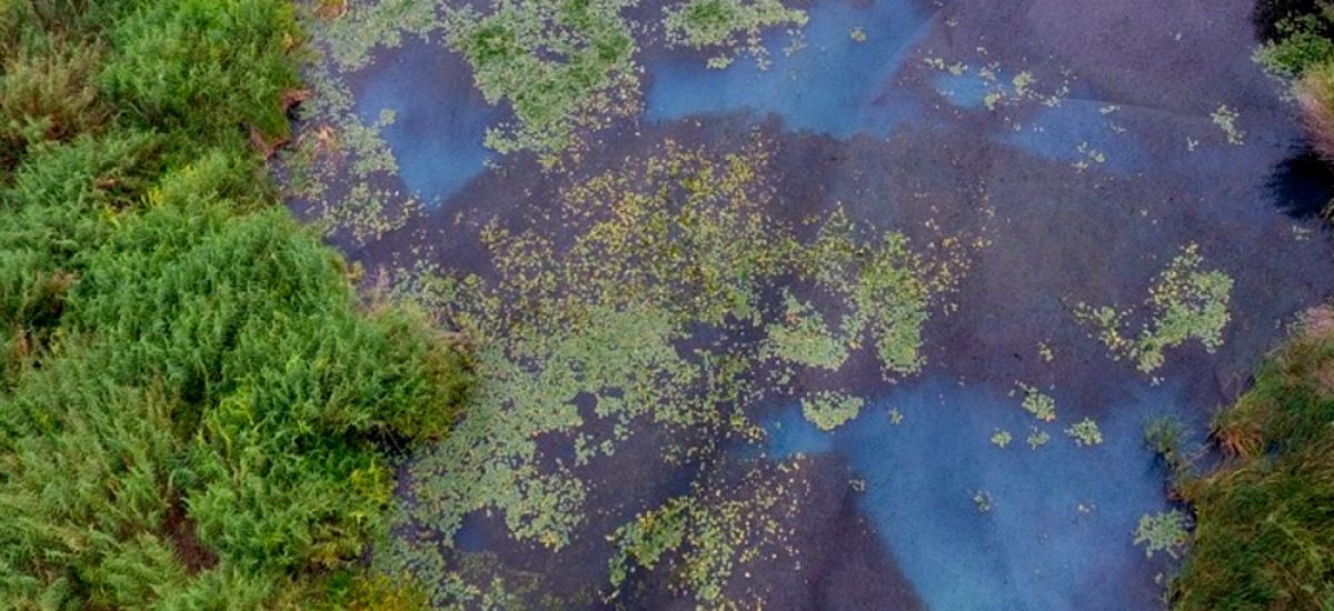 Michoacán, distinguido con 9 humedales naturales