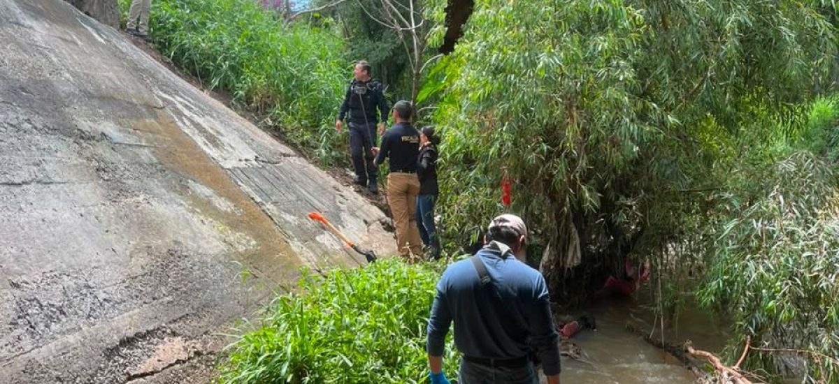 Luciernaga noticias | Procesan a presunto...