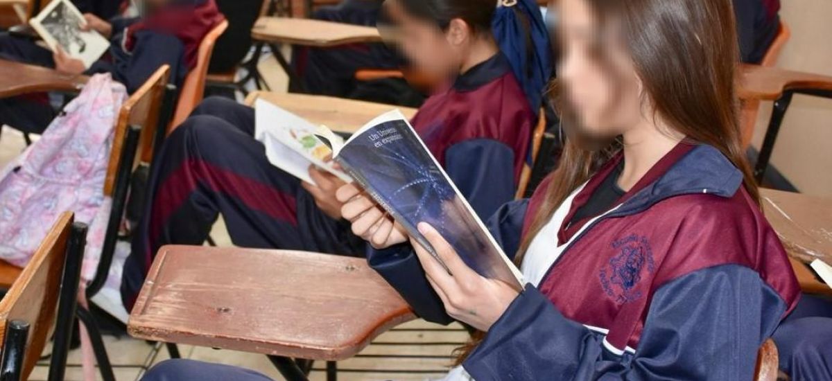 Luciernaga noticias | Fomento a la lectura...