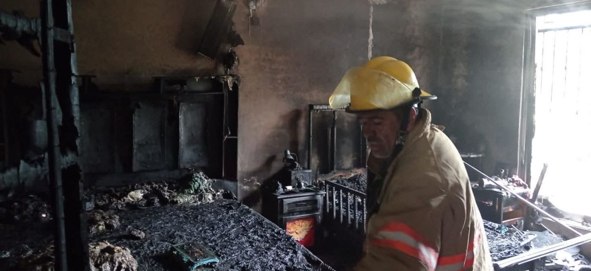 Luciernaga noticias | Adol3scentes resulta...