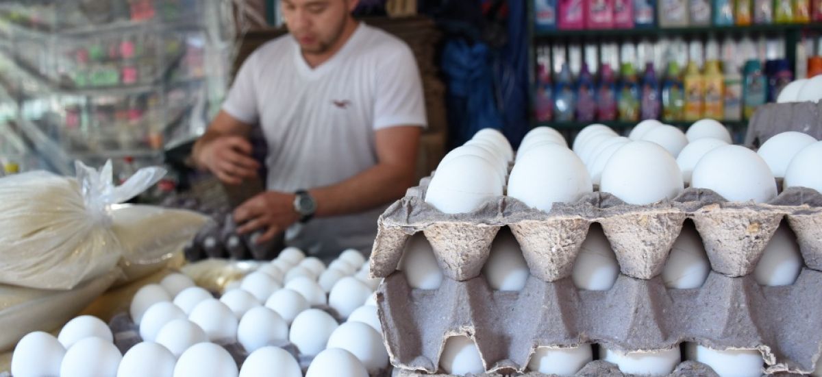 Luciernaga noticias | Morelia registra can...