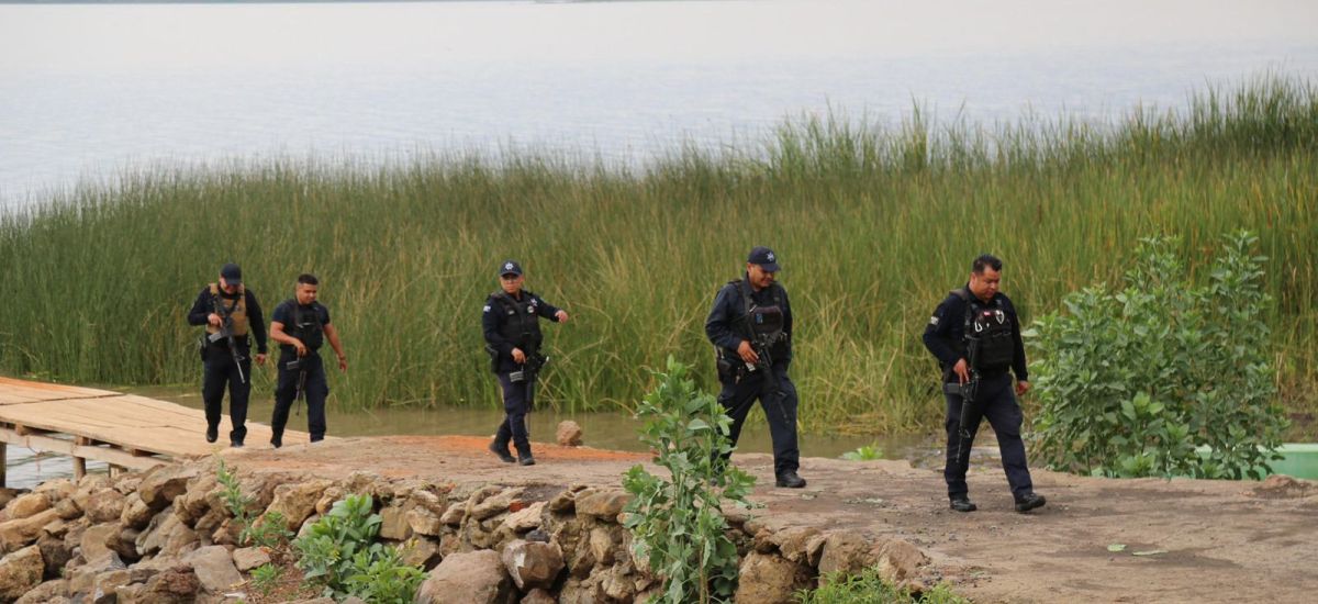 Luciernaga noticias | Permanentes los patr...
