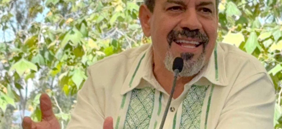 Luciernaga noticias | Secma impulsará la s...