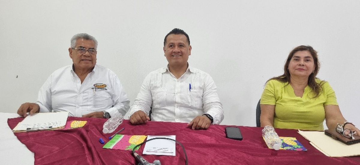 Luciernaga noticias | Torres Piña: La 4T e...