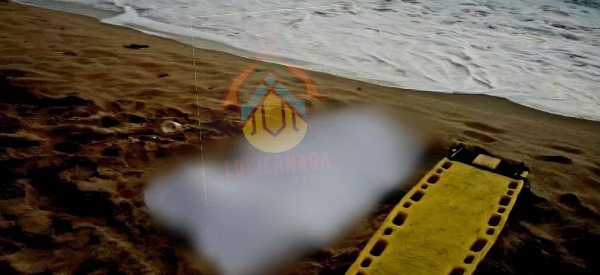 Luciernaga noticias | Turista irapuatense...