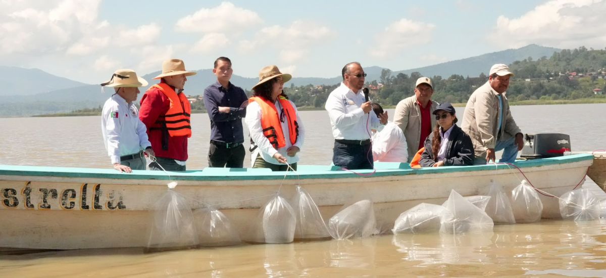 Luciernaga noticias | Suman 215 mil ejempl...