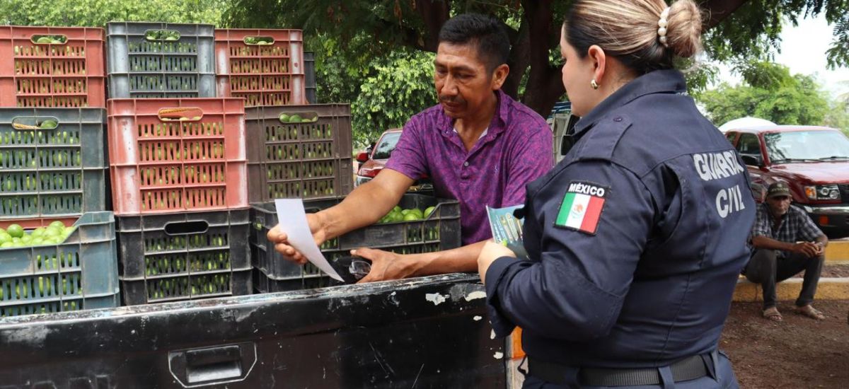 Luciernaga noticias | Estrategia Nacional...