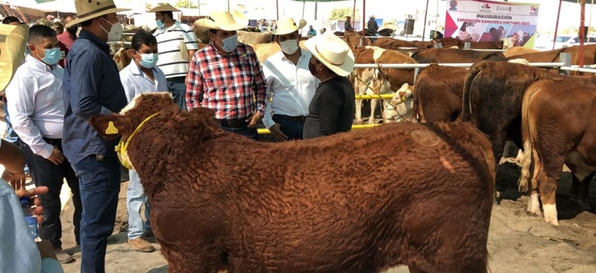 Inicia hoy la Expo Ganadera Huetamo 2020