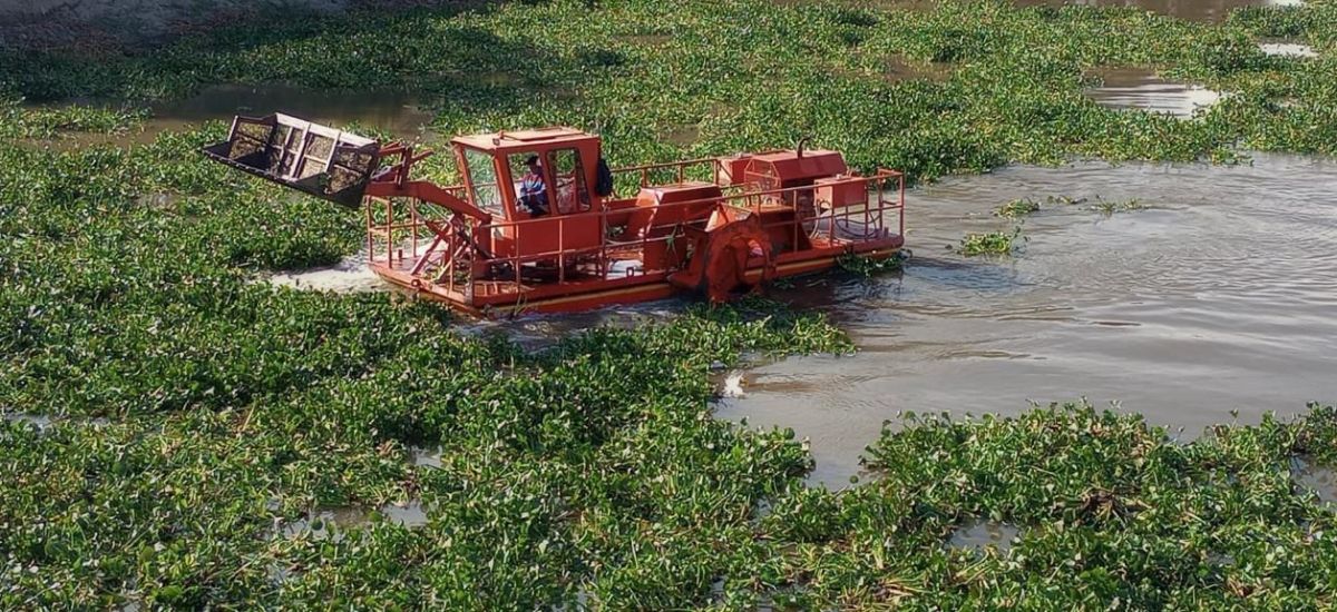 Luciernaga noticias | Gobierno de Michoacá...
