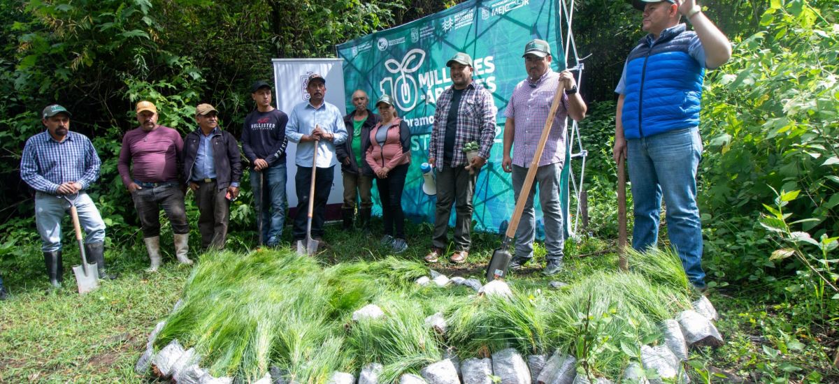 Luciernaga noticias | Reforestan jóvenes d...