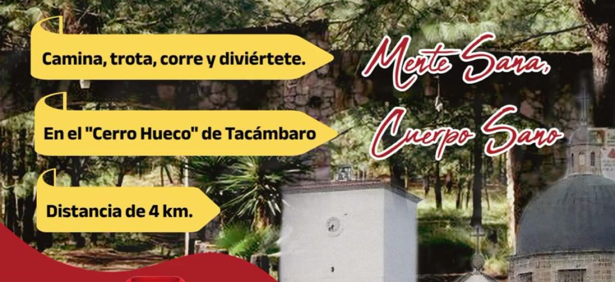 Luciernaga noticias | Organiza Vicente Góm...