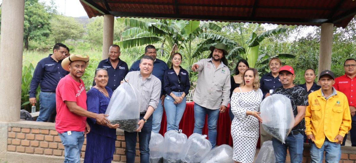 Luciernaga noticias | Distrito XIX avanza...