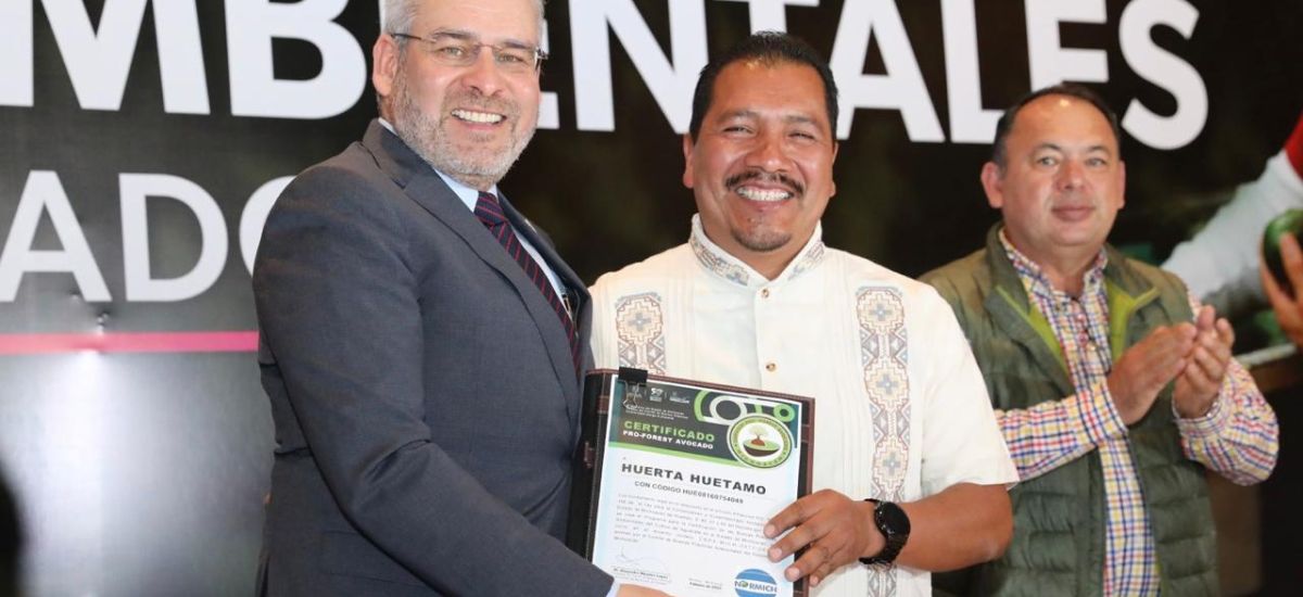 Luciernaga noticias | Michoacán, modelo mu...