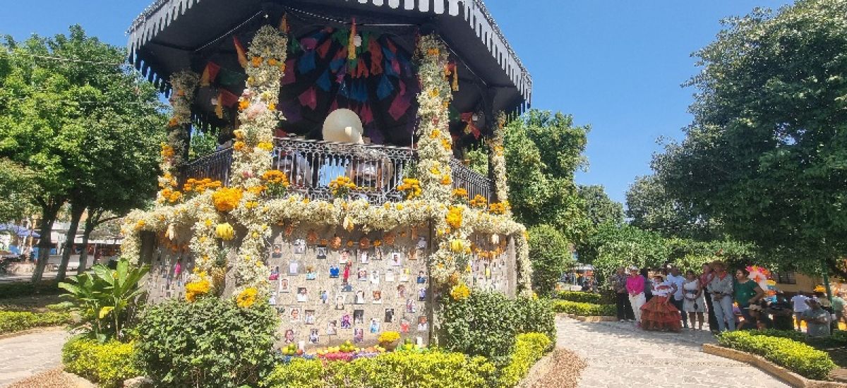 Luciernaga noticias | San Lucas honra a su...