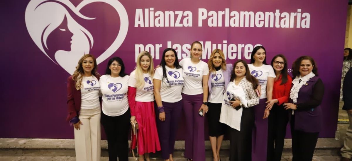 Luciernaga noticias | Diputadas de diferen...