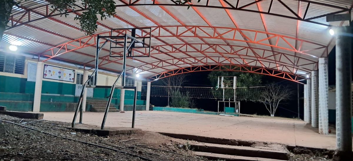 Luciernaga noticias | De la oscuridad a la...