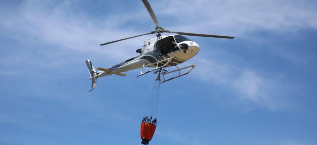 Luciernaga noticias | Atiende Gobierno de...